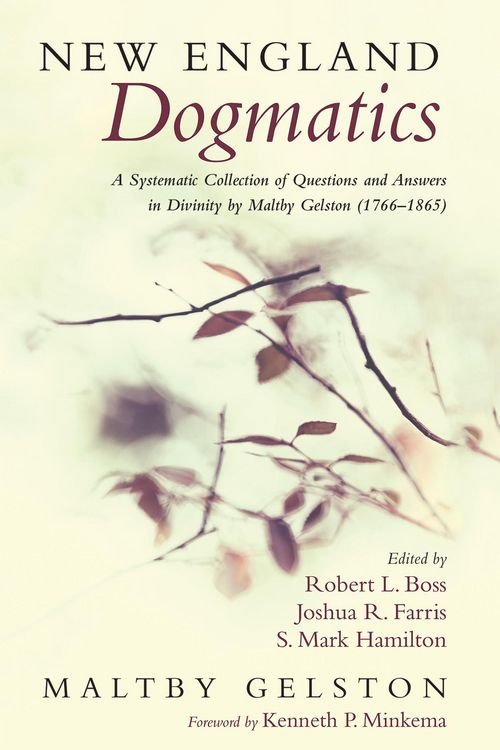Produktbild: New England Dogmatics