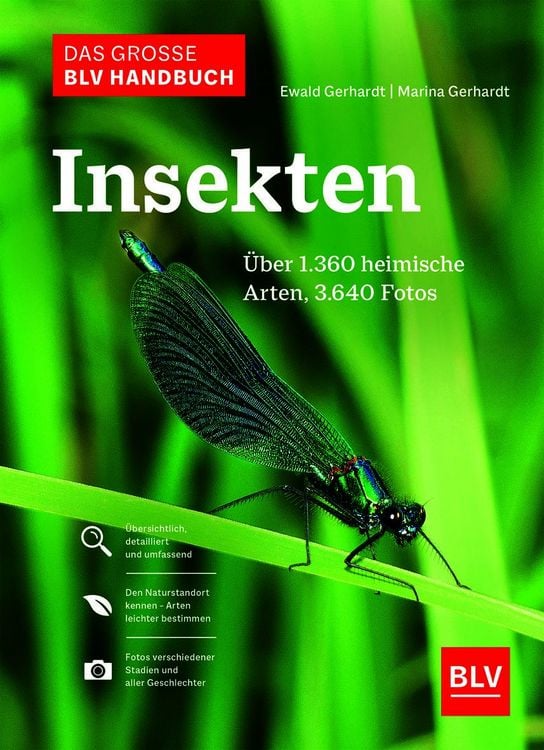 Produktbild: Das gro&szlig;e BLV Handbuch Insekten