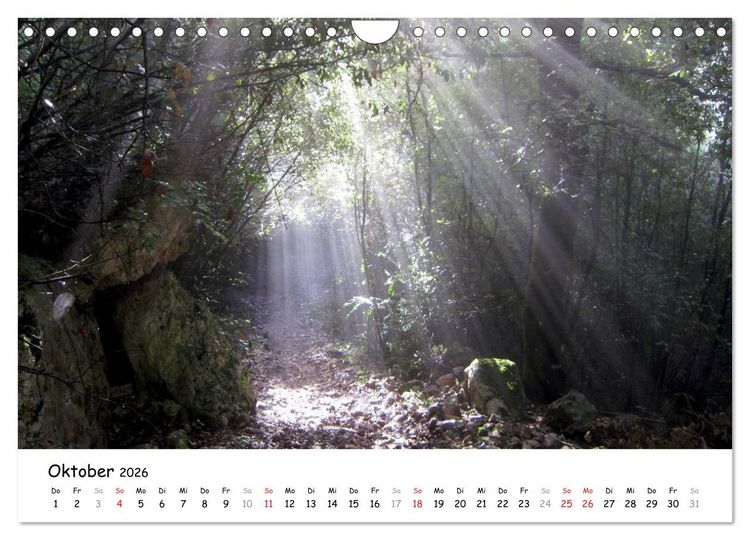 Produktbild: Camino di Assisi - Franziskusweg (Wandkalender 2026 DIN A4 quer), CALVENDO Monatskalender