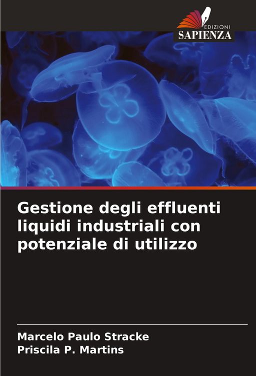 Produktbild: Gestione degli effluenti liquidi industriali con potenziale di utilizzo