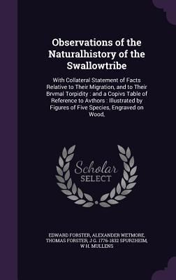 Produktbild: Observations of the Naturalhistory of the Swallowtribe