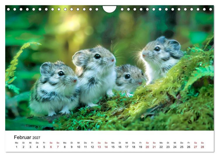 Produktbild: Lemminge - Kleine Helden der Tundra (Wandkalender 2027 DIN A4 quer), CALVENDO Monatskalender