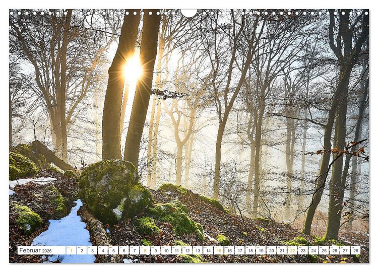Produktbild: B&auml;ume im Altm&uuml;hltal (Wandkalender 2026 DIN A3 quer), CALVENDO Monatskalender