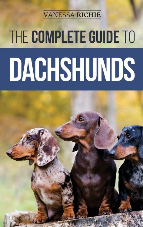 Produktbild: The Complete Guide to Dachshunds