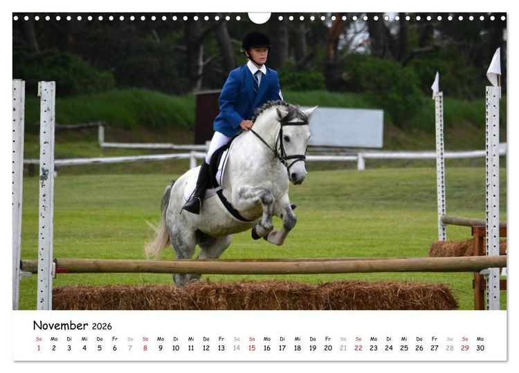 Produktbild: Pony Springreiten (Wandkalender 2026 DIN A3 quer), CALVENDO Monatskalender