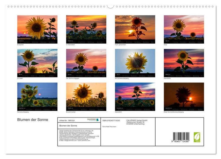 Produktbild: Blumen der Sonne (hochwertiger Premium Wandkalender 2026 DIN A2 quer), Kunstdruck in Hochglanz