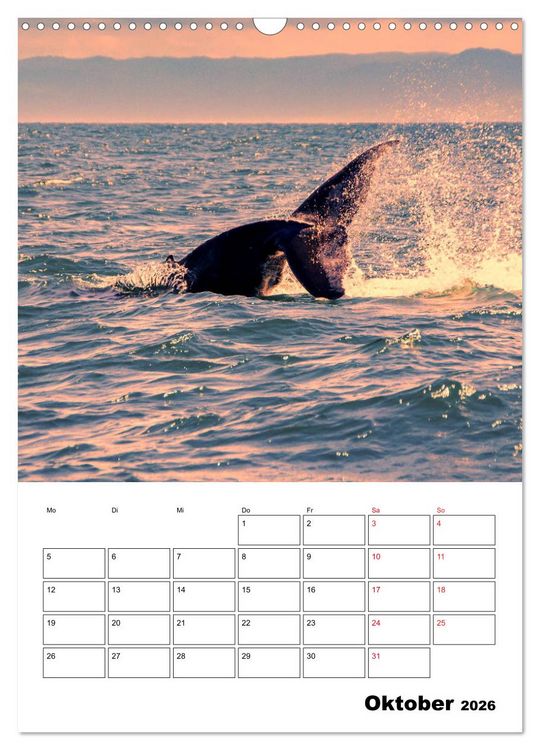 Produktbild: Karibik pur - mit Charme und Zauber (Wandkalender 2026 DIN A3 hoch), CALVENDO Monatskalender
