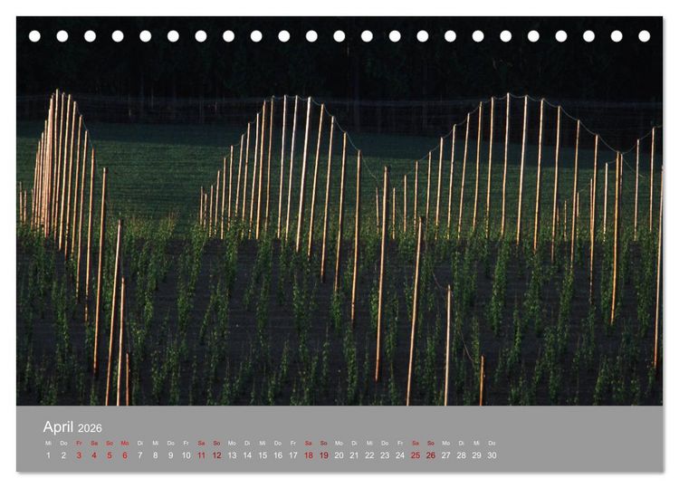 Produktbild: Hallertau (Tischkalender 2026 DIN A5 quer), CALVENDO Monatskalender