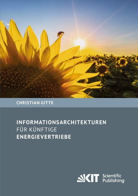 Produktbild: Informationsarchitekturen f&uuml;r k&uuml;nftige Energievertriebe