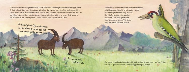 Produktbild: Gian und Giachen und der Sternschnuppenberg