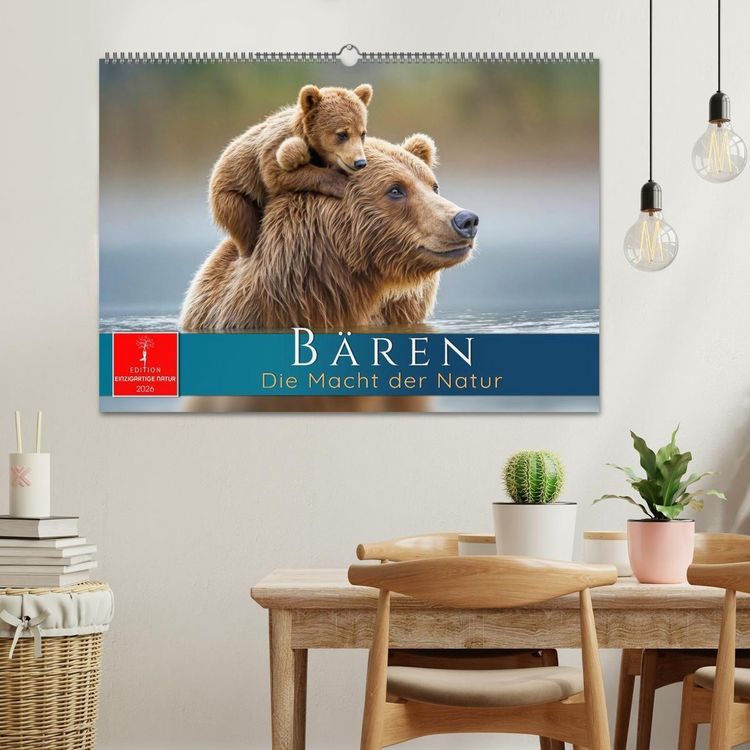 Produktbild: B&auml;ren - Die Macht der Natur (Wandkalender 2026 DIN A2 quer), CALVENDO Monatskalender