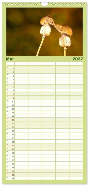 Produktbild: Familienplaner 2027 - Die Tiere des Waldes mit 5 Spalten (Wandkalender, 21 x 45 cm) CALVENDO