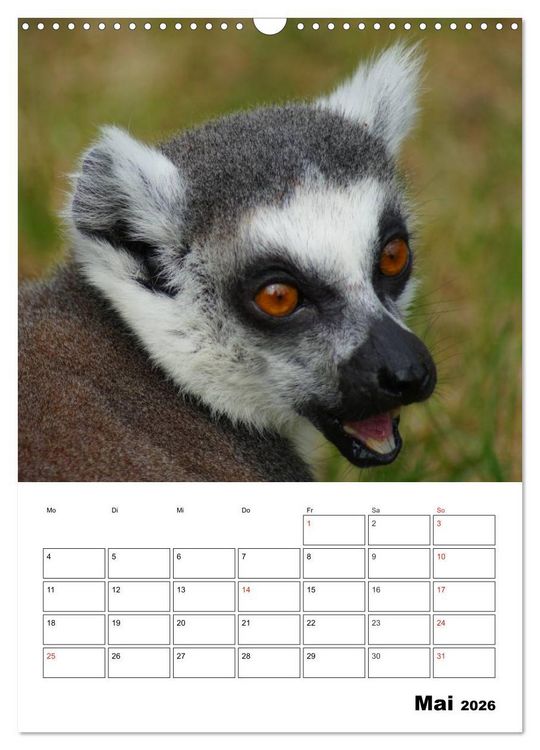 Produktbild: Katta Terminplaner (Wandkalender 2026 DIN A3 hoch), CALVENDO Monatskalender