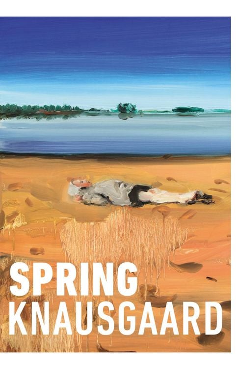 Bild vom Artikel Spring vom Autor Karl Ove Knausgard