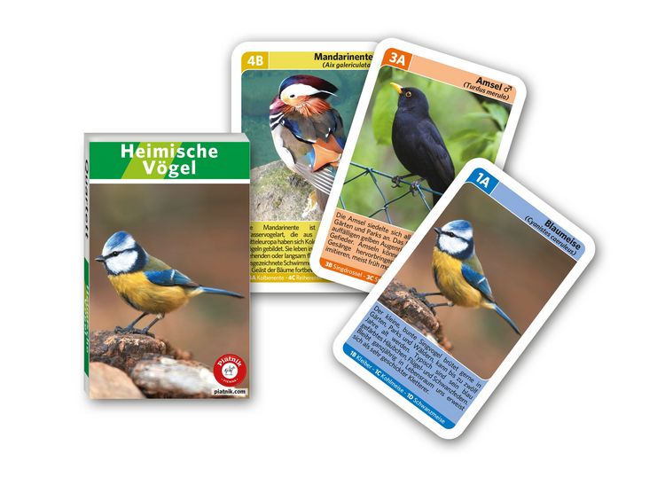 Produktbild: Heimische V&ouml;gel