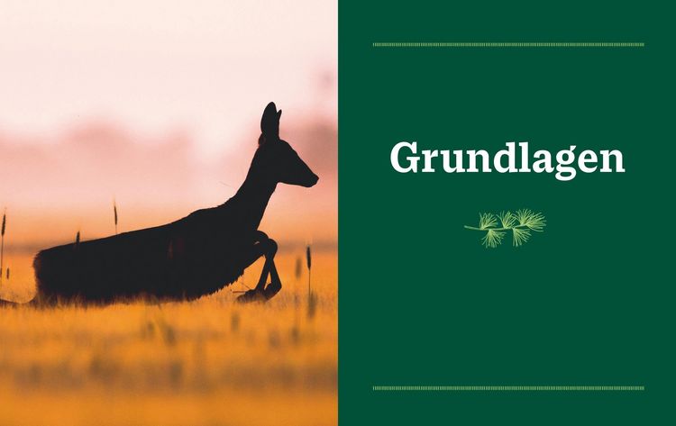 Produktbild: Einfach Wild
