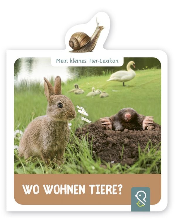 Produktbild: Wo wohnen Tiere?
