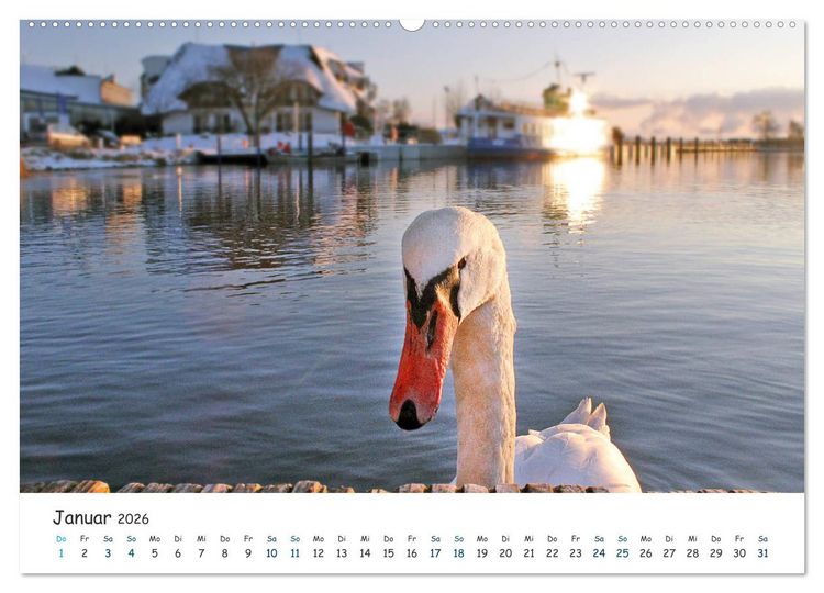 Produktbild: S&uuml;dost R&uuml;gen 2026 (hochwertiger Premium Wandkalender 2026 DIN A2 quer), Kunstdruck in Hochglanz