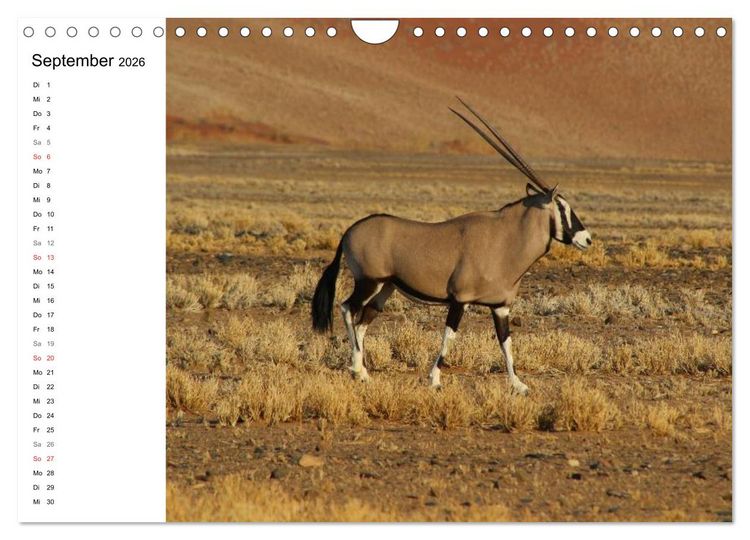 Produktbild: Namibia - Tierische Vielfalt (Planer) (Wandkalender 2026 DIN A4 quer), CALVENDO Monatskalender