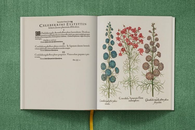 Produktbild: Basilius Besler. The Garden at Eichst&auml;tt