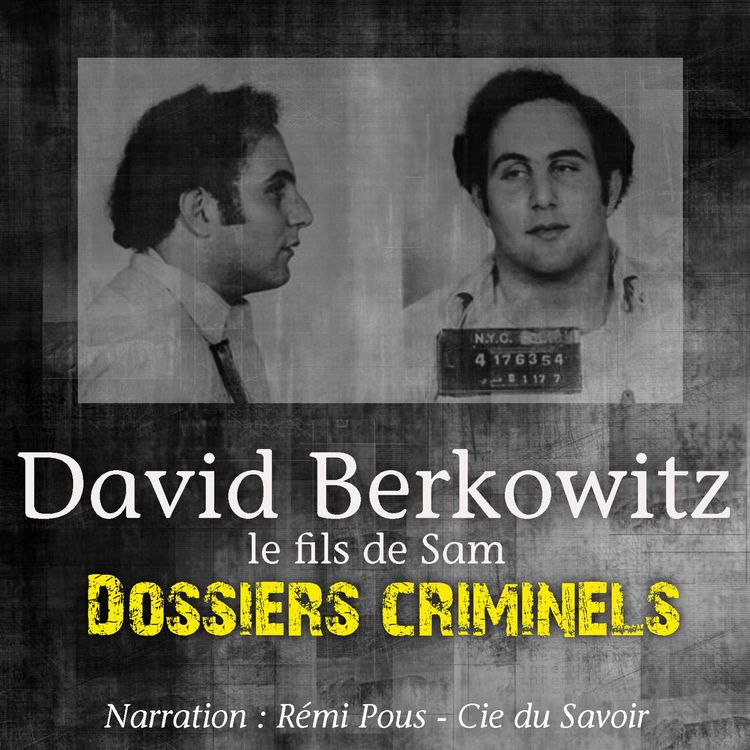 Produktbild: Dossiers Criminels : Le Fils de Sam