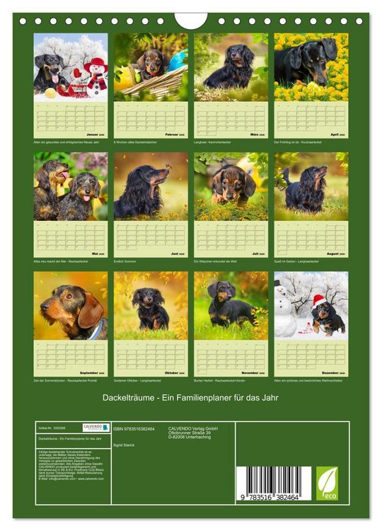 Produktbild: Dackeltr&auml;ume - Ein Familienplaner f&uuml;r das Jahr (Wandkalender 2026 DIN A4 hoch), CALVENDO Monatskalender
