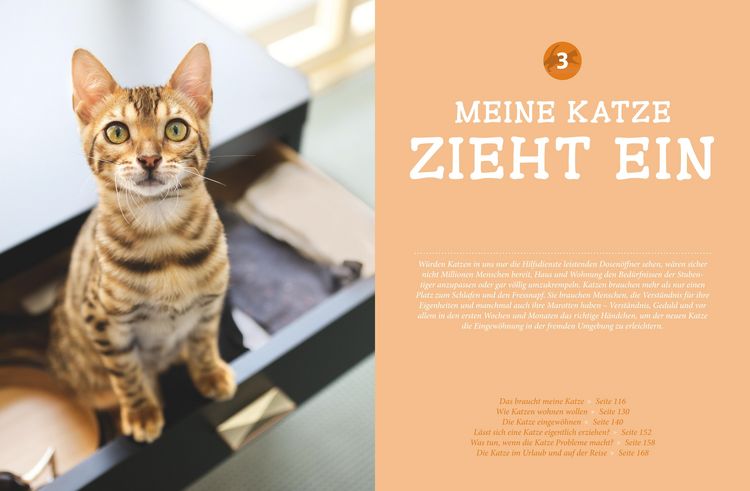 Produktbild: Praxishandbuch Katzen