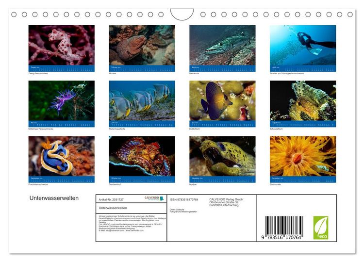 Produktbild: Unterwasserwelten (Wandkalender 2026 DIN A4 quer), CALVENDO Monatskalender