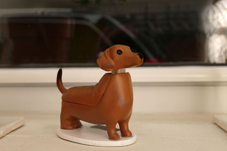 Solar Dashund - Boudewijn