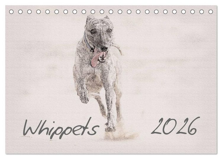 Produktbild: Whippet 2026 (Tischkalender 2026 DIN A5 quer), CALVENDO Monatskalender