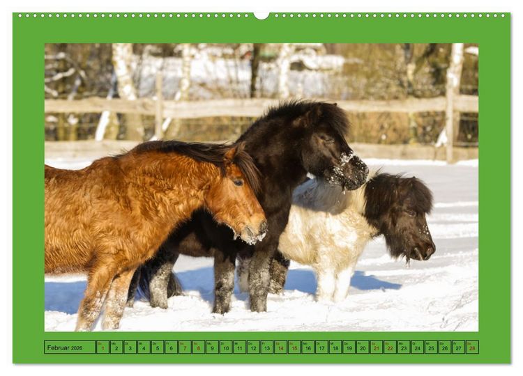 Produktbild: Pferde, das gr&ouml;&szlig;te Gl&uuml;ck auf dieser Erde (hochwertiger Premium Wandkalender 2026 DIN A2 quer), Kunstdruck in Hochglanz