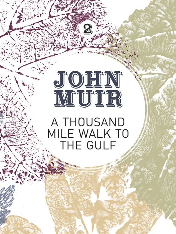 Produktbild: A Thousand-Mile Walk to the Gulf