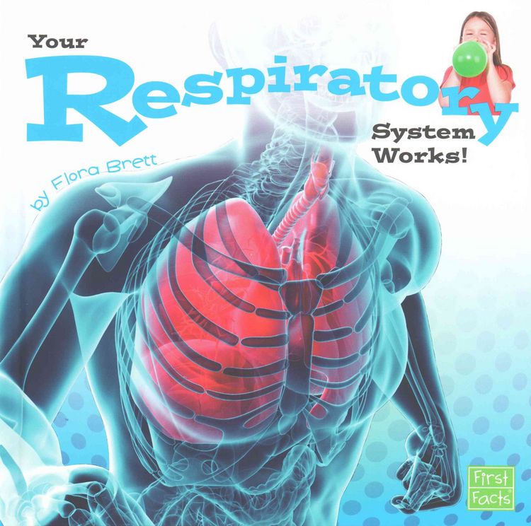 Produktbild: Your Respiratory System Works!