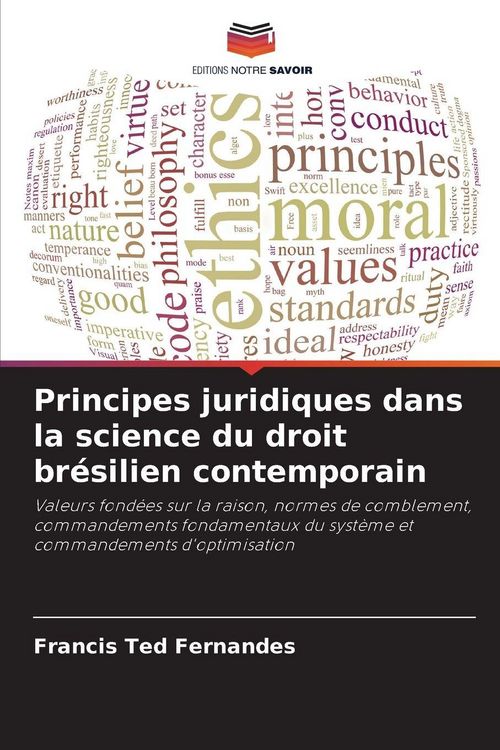 Produktbild: Principes juridiques dans la science du droit br&eacute;silien contemporain