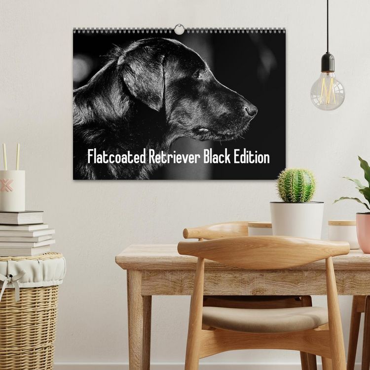Produktbild: Flatcoated Retriever Black Edition (Wandkalender 2026 DIN A3 quer), CALVENDO Monatskalender