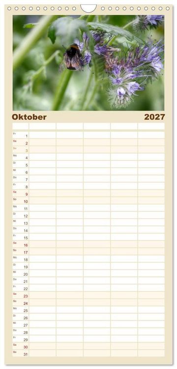 Produktbild: Familienplaner 2027 - Hummelflug mit 5 Spalten (Wandkalender, 21 x 45 cm) CALVENDO