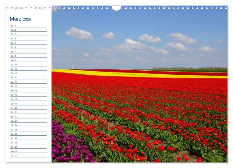 Produktbild: Magdeburg und Umgebung 2026 (Wandkalender 2026 DIN A3 quer), CALVENDO Monatskalender