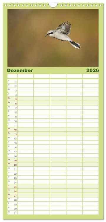 Produktbild: Familienplaner 2026 - Das faszinierende Reich der V&ouml;gel mit 5 Spalten (Wandkalender, 21 x 45 cm) CALVENDO