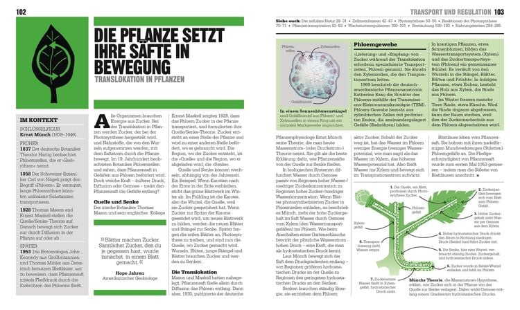 Big Ideas. Das Biologie-Buch