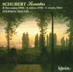 Produktbild: Piano Sonatas D960,D784,D613