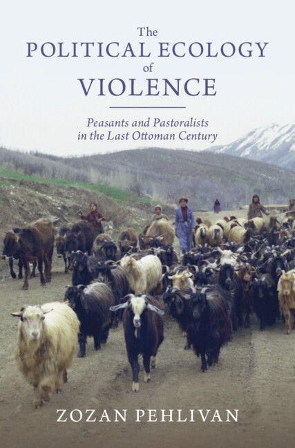 Produktbild: The Political Ecology of Violence