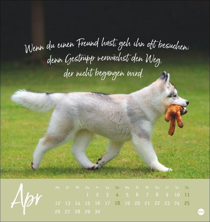 Produktbild: Ziemlich beste Freunde Postkartenkalender 2027 - F&uuml;r immer dein