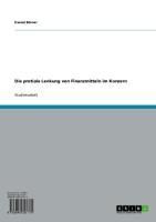 Produktbild: Die pretiale Lenkung von Finanzmitteln im Konzern