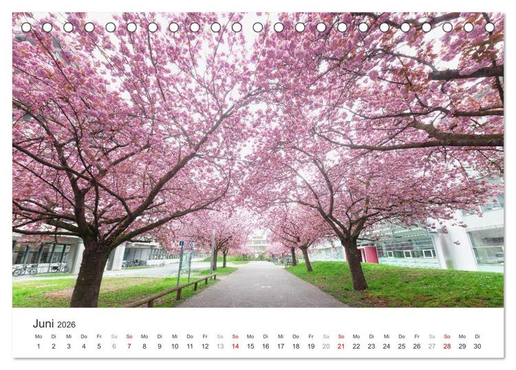 Produktbild: Heidelberg im Fokus (Tischkalender 2026 DIN A5 quer), CALVENDO Monatskalender