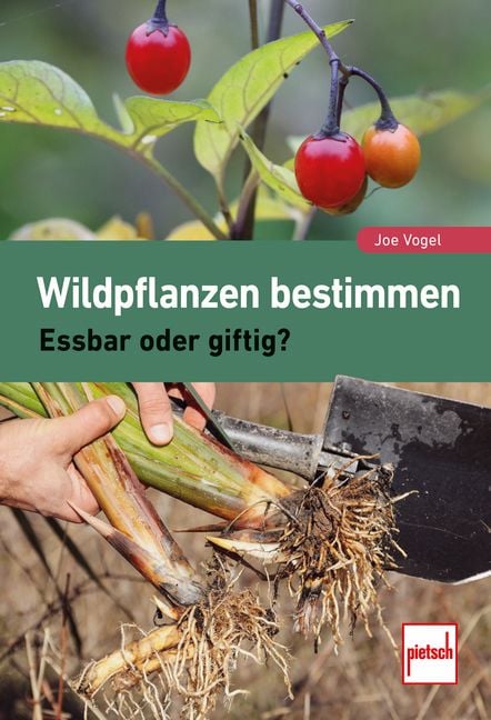 Produktbild: Wildpflanzen bestimmen