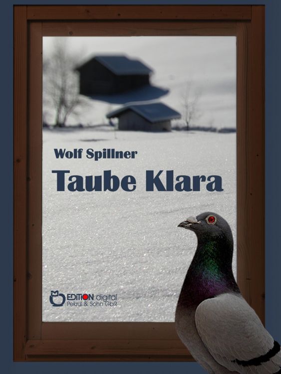 Produktbild: Taube Klara oder Zuf&auml;lle gibt es nicht