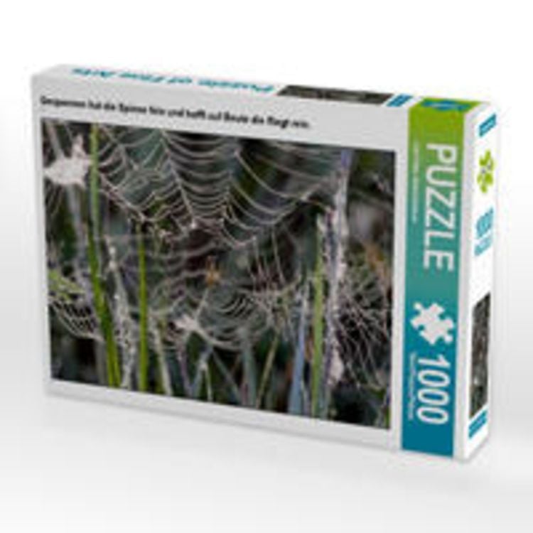 CALVENDO Puzzle „Mexikanische Vogelspinne“ – 1000 Teile, 64x48 Cm, Premium-Qualität Aus Europa, Für Erwachsene
