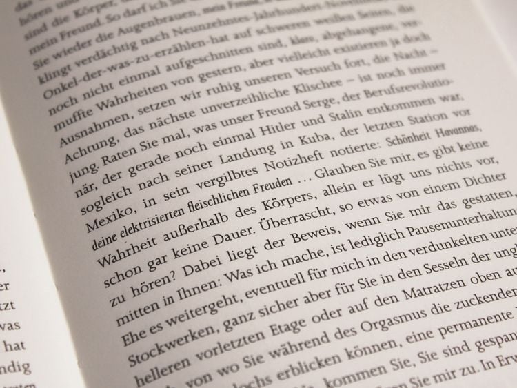 Produktbild: Schlafende Hunde
