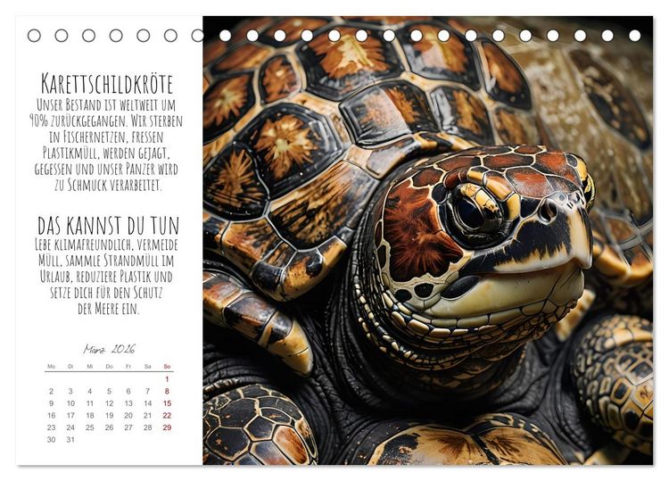 Produktbild: Wir sind die Letzten hier! Wir sterben aus. Wie du uns helfen kannst! (Tischkalender 2026 DIN A5 quer), CALVENDO Monatskalender