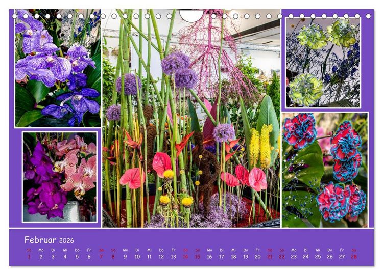 Produktbild: Erfurt erbl&uuml;ht (Wandkalender 2026 DIN A4 quer), CALVENDO Monatskalender